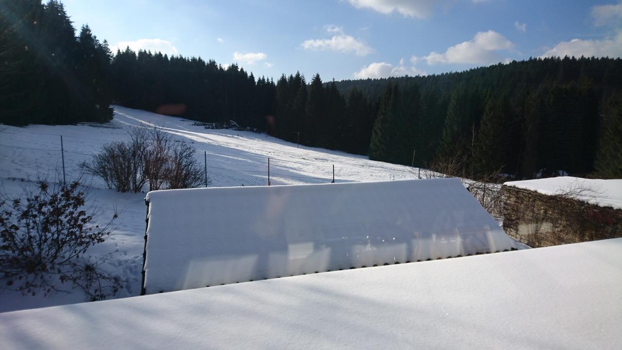 Quellenhof Altenau Altenau  Exterior foto